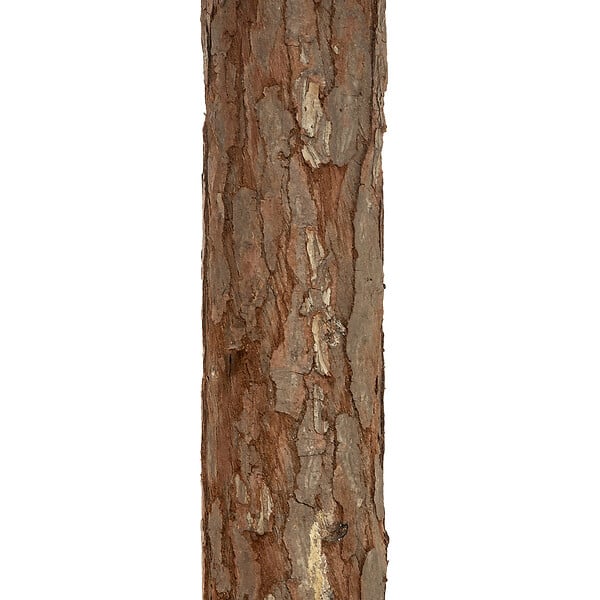 FEERIC LIGHTS & CHRISTMAS - Sapin de Noël artificiel Vert clair enneigé avec pied en bois et métal H 180 cm - large