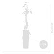 BLOOMIQUE - Clématite Hagley Hybride - Vigne forestière - Rose - Pot 15 cm - 70-80 cm de haut - vignette