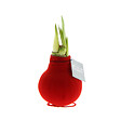 BLOOMIQUE - Amaryllis à bulbe en cire - Finition velours rouge - Fleur sans eau - Décoration de Noël - vignette