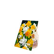 BLOOMIQUE - Mélange de 15 - Narcisse - Jonquille - Mélange à grandes fleurs - Mélange de couleurs - vignette