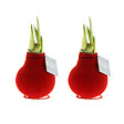 BLOOMIQUE - Lot de 2 - Bulbe d’Amaryllis en cire - Revêtement en velours rouge - Bulbe floral - H. 15-25 cm - vignette