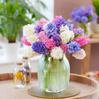 BLOOMIQUE - Mélange de 10 - Jacinthe - Jacinthe - Mélange de Couleurs - Bulbes à Fleurs - Floraison Printemps - vignette