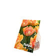 BLOOMIQUE - Mélange de 20 - Tulipa Double Pêche - Bulbes de Tulipes - Fleur Double - Bulbes à Fleurs - vignette
