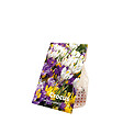BLOOMIQUE - Mélange de 40 - Crocus - Crocus - Mélange de Couleurs - Bulbes à Fleurs - Floraison Printemps - vignette