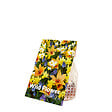BLOOMIQUE - Mélange de 50 - Mélange de fleurs sauvages - Mélange de 4 espèces - Bulbes à fleurs - vignette