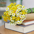 BLOOMIQUE - Mélange de 50 - Mélange de fleurs sauvages - Mélange de 4 espèces - Bulbes à fleurs - vignette