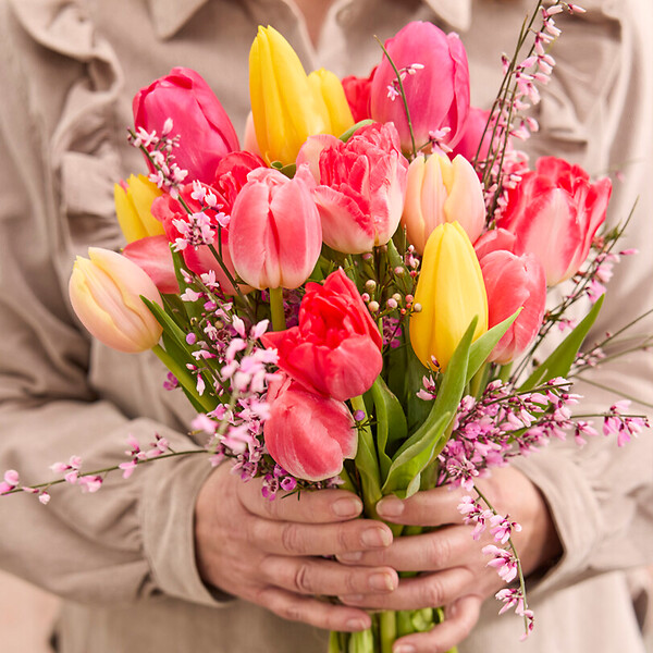 BLOOMIQUE - Mélange de 20 - Tulipa Rainbow Mix - Bulbes de tulipes - Bulbes à fleurs - Floraison printanière - large