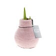 BLOOMIQUE - Bulbe d'Amaryllis en Cire - Rose Cosy - Bulbe à Fleurs - H. 15-25 cm à la Livraison - vignette