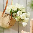 BLOOMIQUE - Mélange de 20 - Tulipa - Bulbes de tulipes - Blanc - Bulbes à fleurs - Floraison printanière - vignette