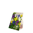 BLOOMIQUE - Mélange de 50 - Iris Hollandica - Iris hollandais - Mélange de couleurs - Bulbes à fleurs - vignette
