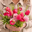 BLOOMIQUE - Mélange de 20 - Tulipa - Bulbes de tulipes - Rose - Bulbes à fleurs - Floraison printanière - vignette