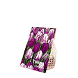 BLOOMIQUE - Mix van 20 - Tulipa Purple Mix - Paarse Mix - Tulpenbollen - Bloembollen - Voorjaarsbloeiend - vignette