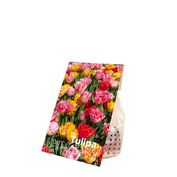 BLOOMIQUE - Mélange de 20 - Tulipa Double Mix - Fleur Double - Bulbes de Tulipes - Mélange de Couleurs - large