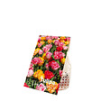 BLOOMIQUE - Mélange de 20 - Tulipa Double Mix - Fleur Double - Bulbes de Tulipes - Mélange de Couleurs - vignette