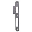 JPM - GACHE  PLATE ZINGUEE  BR  MULTIBAT - vignette
