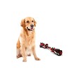 KZ GARDEN - Jouet pour Chien Corde Coton Jeu dentaire 20 cm Os à Mâcher Hygiène Bucco-dentaire Nœuds - vignette
