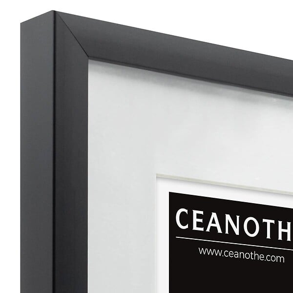 CEANOTHE - Cadre 30X40 Ouv 20X30 Milan noir - large