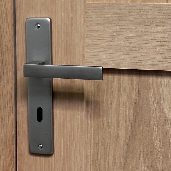 CHRISLIGNE - Ens poig/plaq 195 cle joffrin alum finition inox velours - large