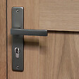 CHRISLIGNE - Ens poig/plaq 195 cyl joffrin alum finition inox velours - vignette
