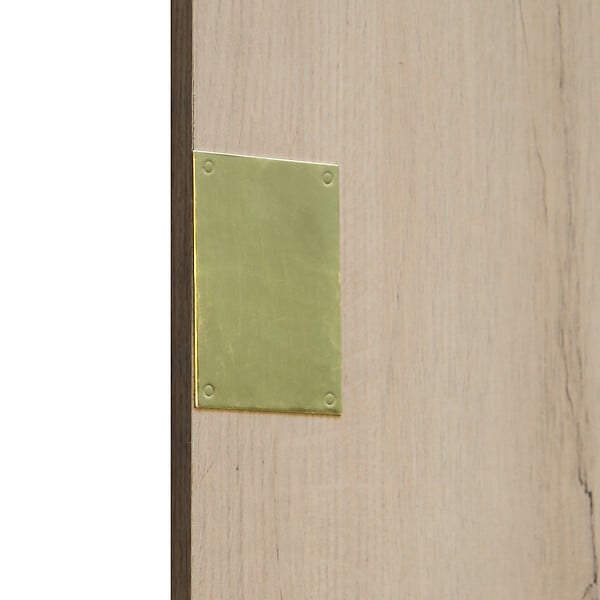 CHRISLIGNE - Plaq cache serrure borgne 60x90 laiton poli verni - large