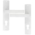 CHRISLIGNE - Ens poig/plaq 195 cyl joffrin alu blanc mat - vignette