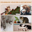 PAWHUT - Mur d'escalade pour chat - arbre à chat design mural - griffoirs, grattoirs, jeux - sisal naturel peluche beige - vignette