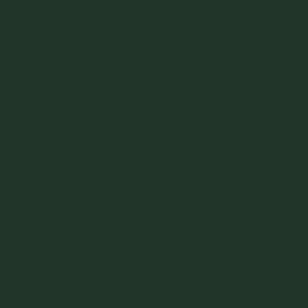 NUANCE - Peinture fer vert wagon satin 2L - large