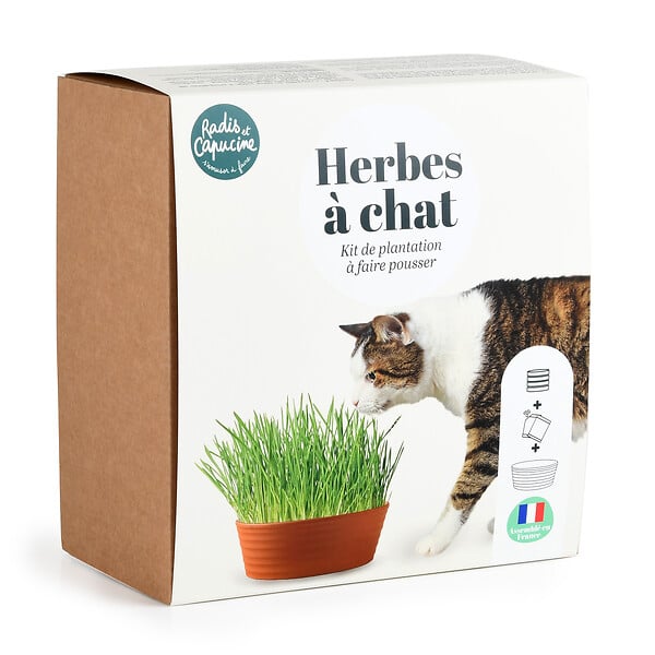 RADIS ET C - Coffret herbe à chat - large