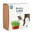 RADIS ET C - Coffret herbe à chat - vignette