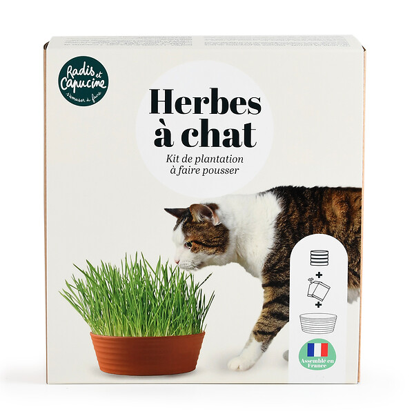 RADIS ET C - Coffret herbe à chat - large