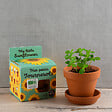 RADIS ET C - Pot 8 cm avec coupelle Tournesols - Bio - vignette