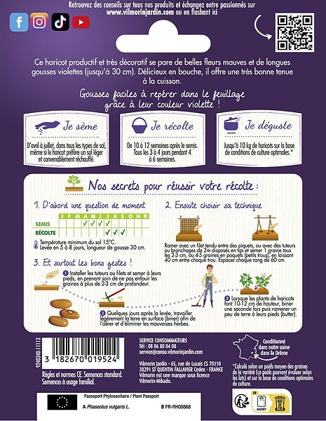 VILMORIN - Haricot grimpant violet Mélissa - 85 graines - large