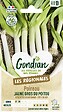 VILMORIN - Poireau jaune gros du Poitou Gondian - Graines - vignette