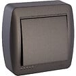 SOLERA - Interrupteur 2 voies va et vient en saillie - Noir graphite - Solera - vignette