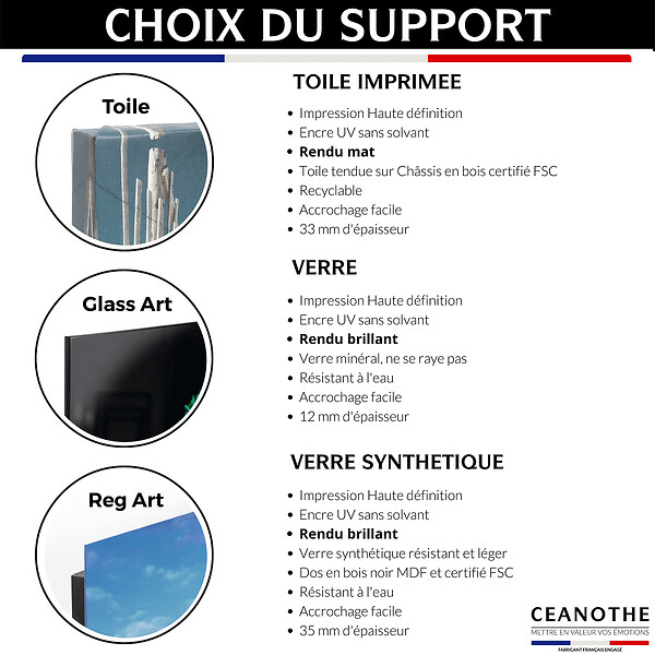 CEANOTHE - Tableau sur toile paon humain 65x65 cm - large