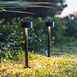 LUMISKY - 2 Balises solaires à piquer FORTY H30cm - vignette
