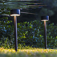 LUMISKY - 2 Balises solaires à piquer FORTY H30cm - vignette