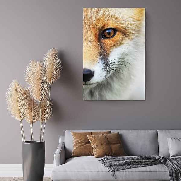 CEANOTHE - Tableau sur toile renard 65x97 cm - large