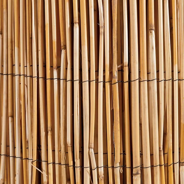 WERKAPRO - Canisse en roseau naturel  1,8 x 5 m - large