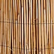 WERKAPRO - Canisse en roseau naturel  1,8 x 5 m - vignette