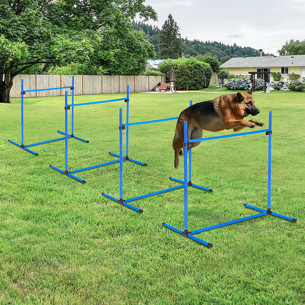 PAWHUT - Agility sport pour chiens set de 4 obstacles professionnels avec système de maintien au sol sac transport fourni bleu noir - large
