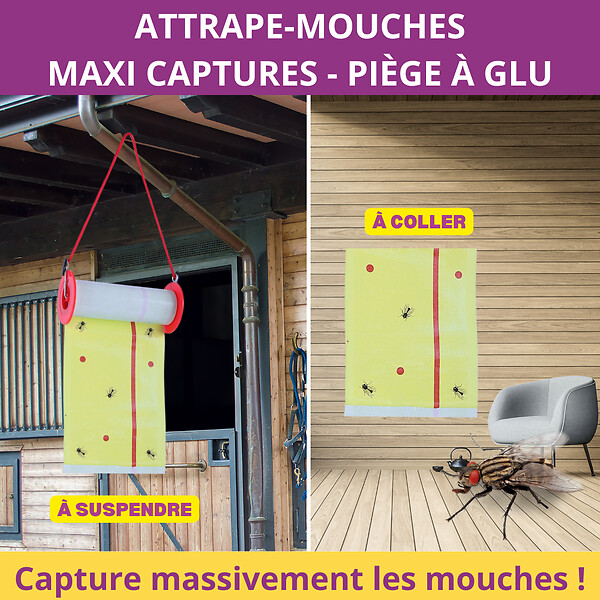 ACTO - Piège à mouches adhésif XXL - Rouleau - 4m - large