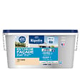 RIPOLIN - Peinture façade acrylique - Extrême Façade Pierre - Mat 2,5L - vignette