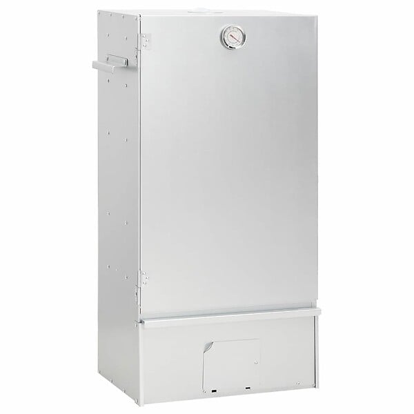 VIDAXL - vidaXL Fumoir à  four à  barbecue avec copeaux de bois 44,5x29x83 cm - large