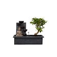 PLANT IN A BOX - Bonsaï - Bonsai - Hauteur 25-35cm - ⌀29cm - vignette