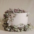 PLANT IN A BOX - Chaîne des cœurs - Set de 2 - Ceropegia linearis Woodii - H20-30cm - ⌀14cm - vignette