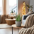 PLANT IN A BOX - Aloe vera - Set de 3 - Aloe barbadensis - Hauteur 25-40cm - ⌀10,5cm - vignette