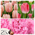 PLANT IN A BOX - Mélange de bulbes pour le jardin - Set de 25 - Tulipa, Hyacinthus - vignette