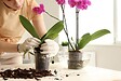JARDIBEST - Terreau orchidées - 5L - vignette