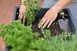 JARDIBEST - Terreau plantes aromatiques - 5L - vignette